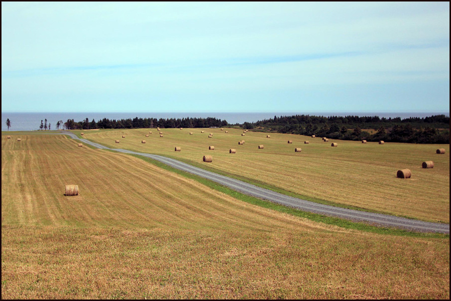  New Brunswick 9