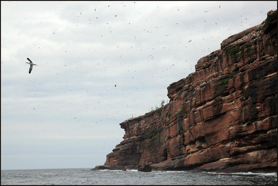  Bonaventure Island