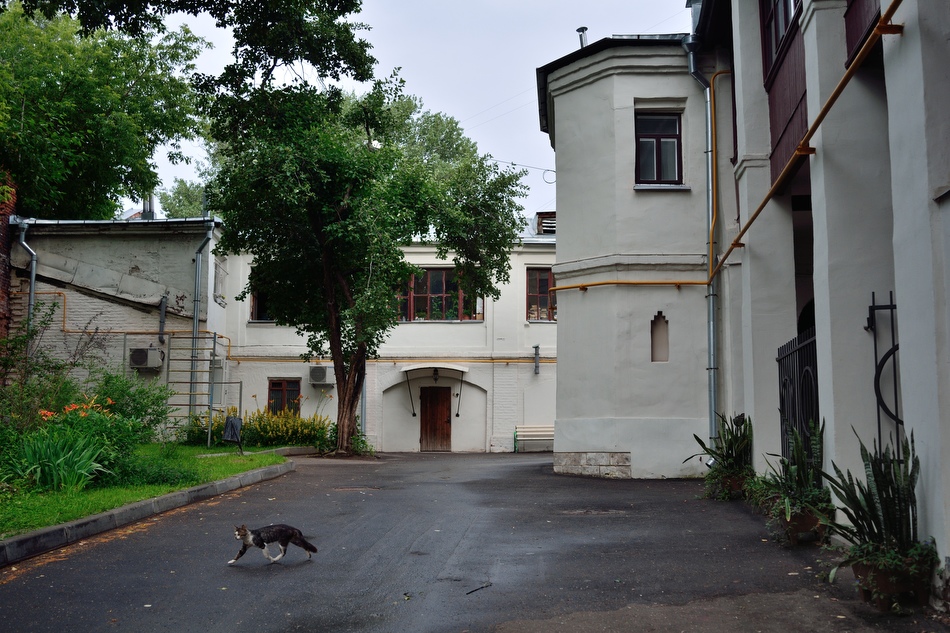 Московский Дворик Знакомства Москва