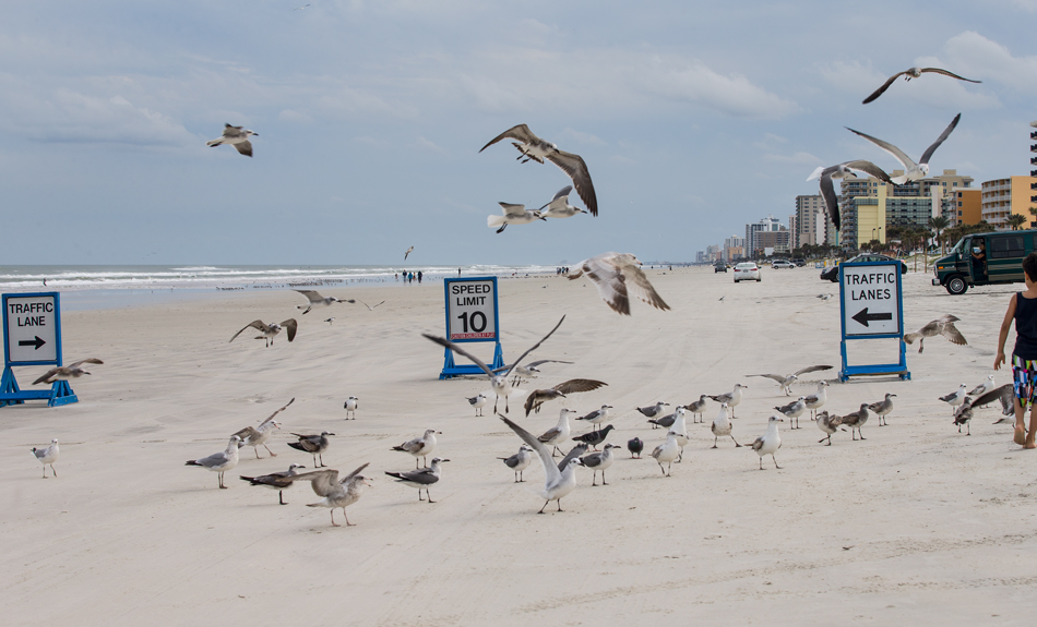  Daytona Beach