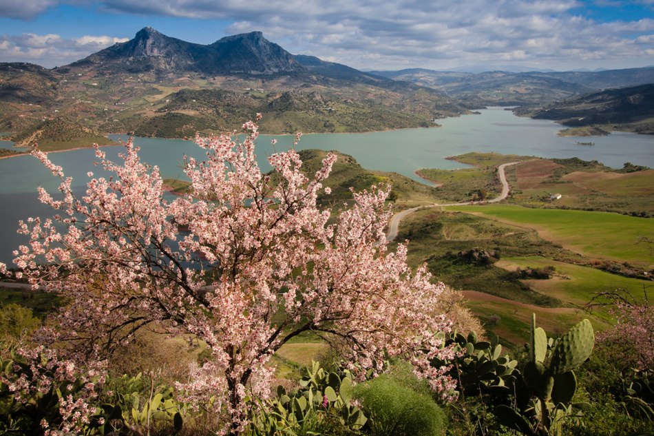  Spring in Spain