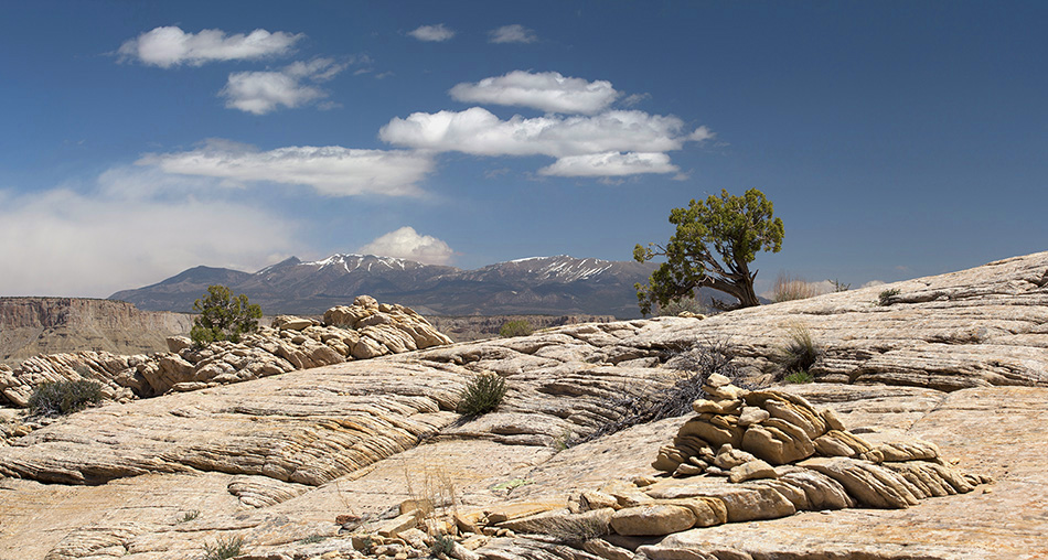  Capitol Reef NP 1