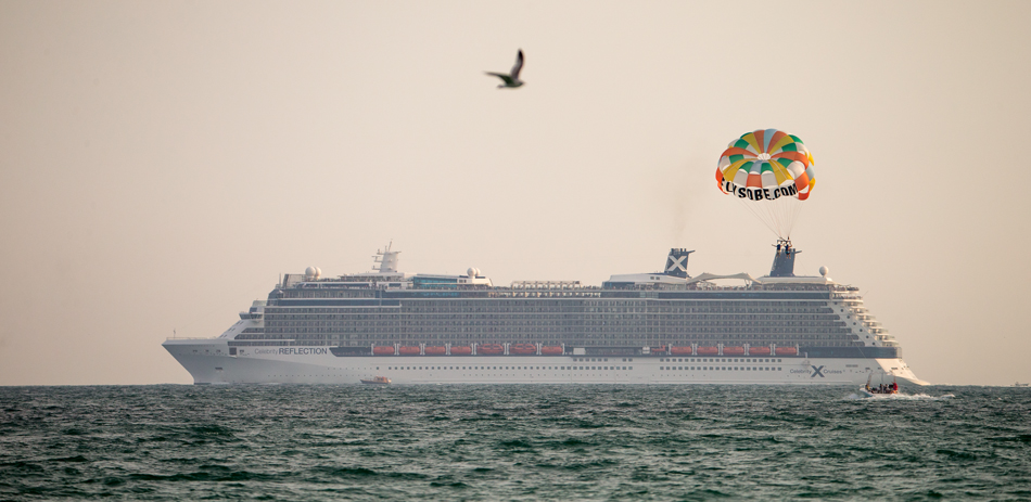  CELEBRITY REFLECTION