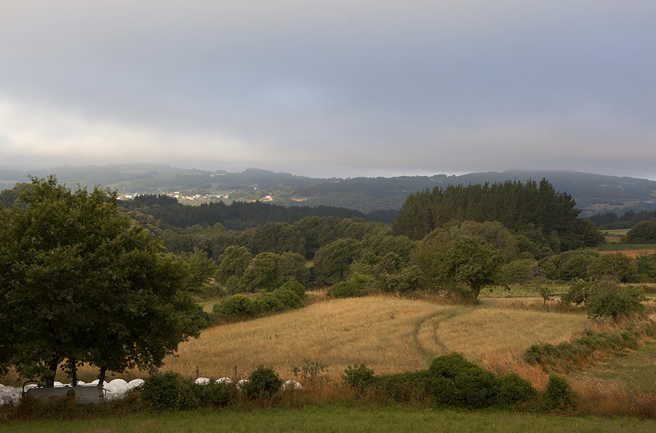  Camino de Santiago