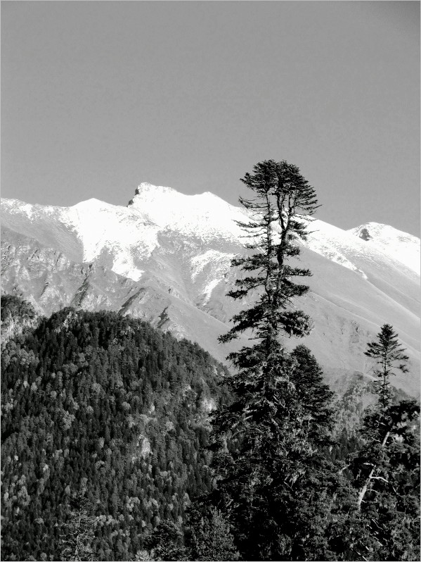  Untitled ...