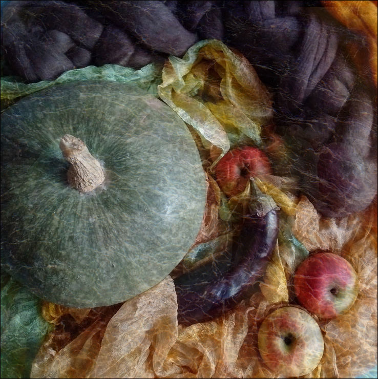  still-life with an eggplant
