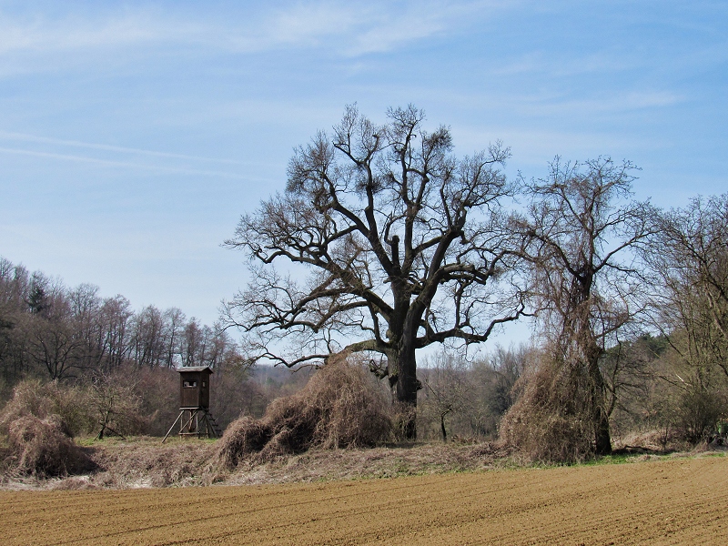  Klein-Meiseldorf