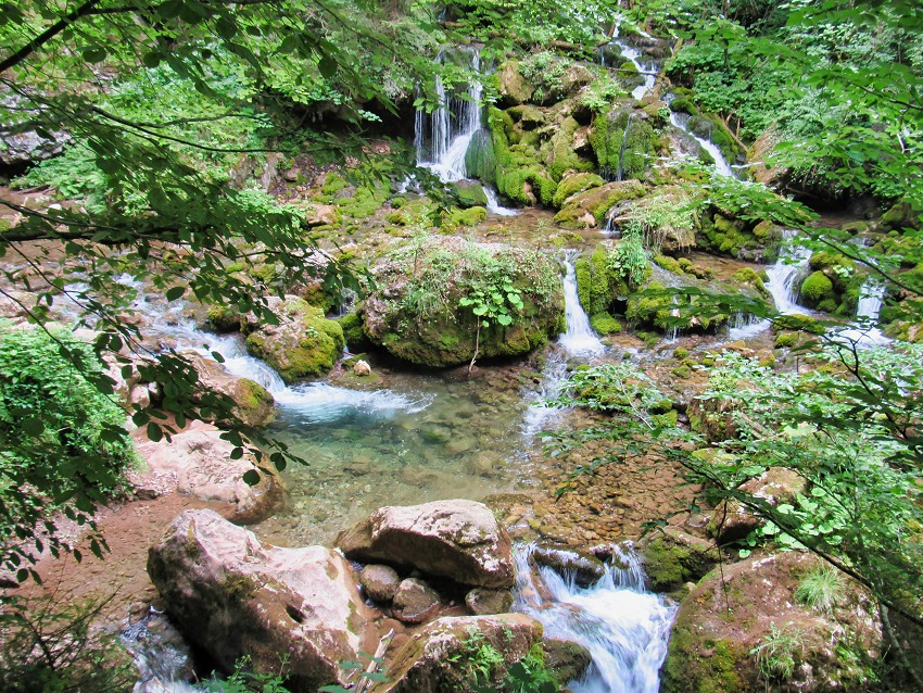  Baerenschuetzklamm