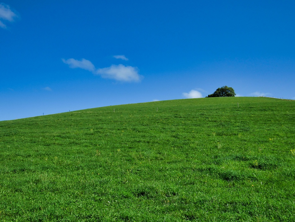   Windows XP