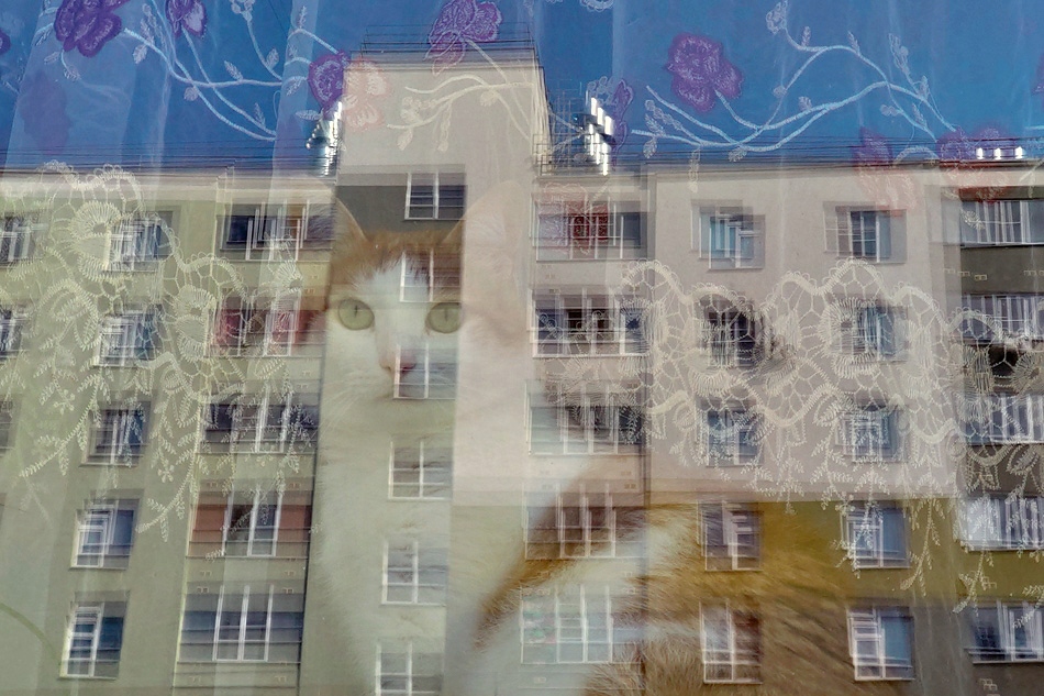  ,   ף 
