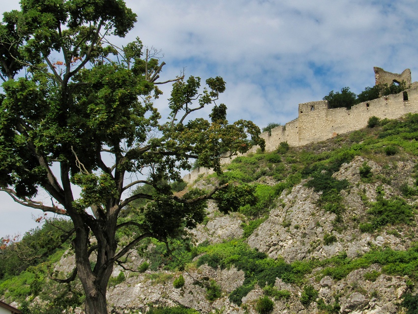  Burg Staatz