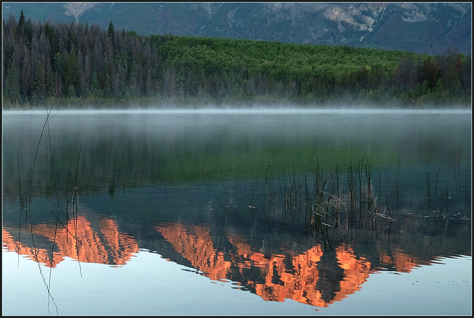    Patricia Lake