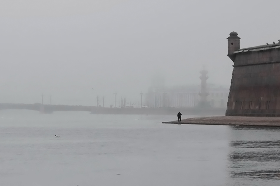  fog