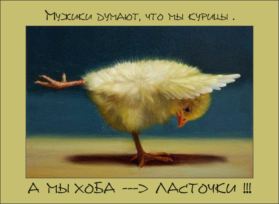   ,  ! :)