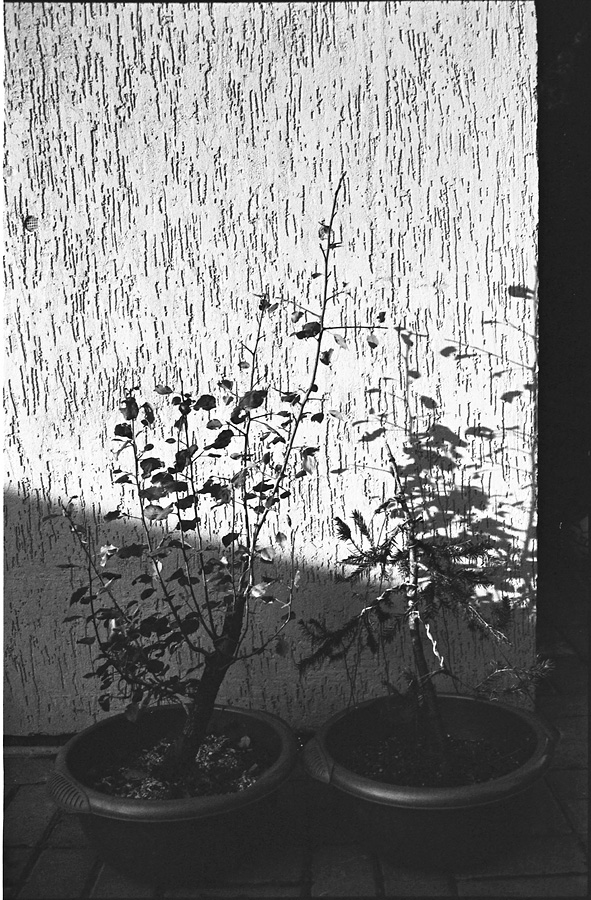  0016