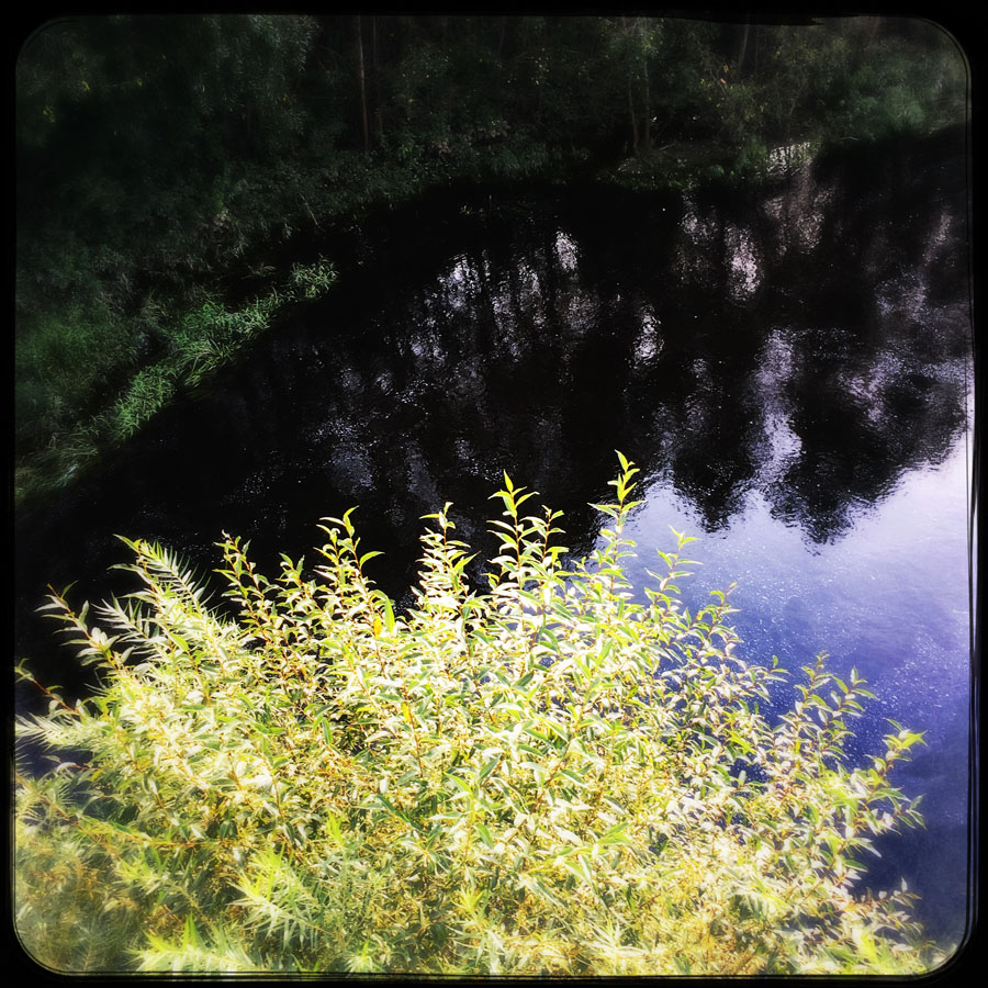  Hipstamatic 14