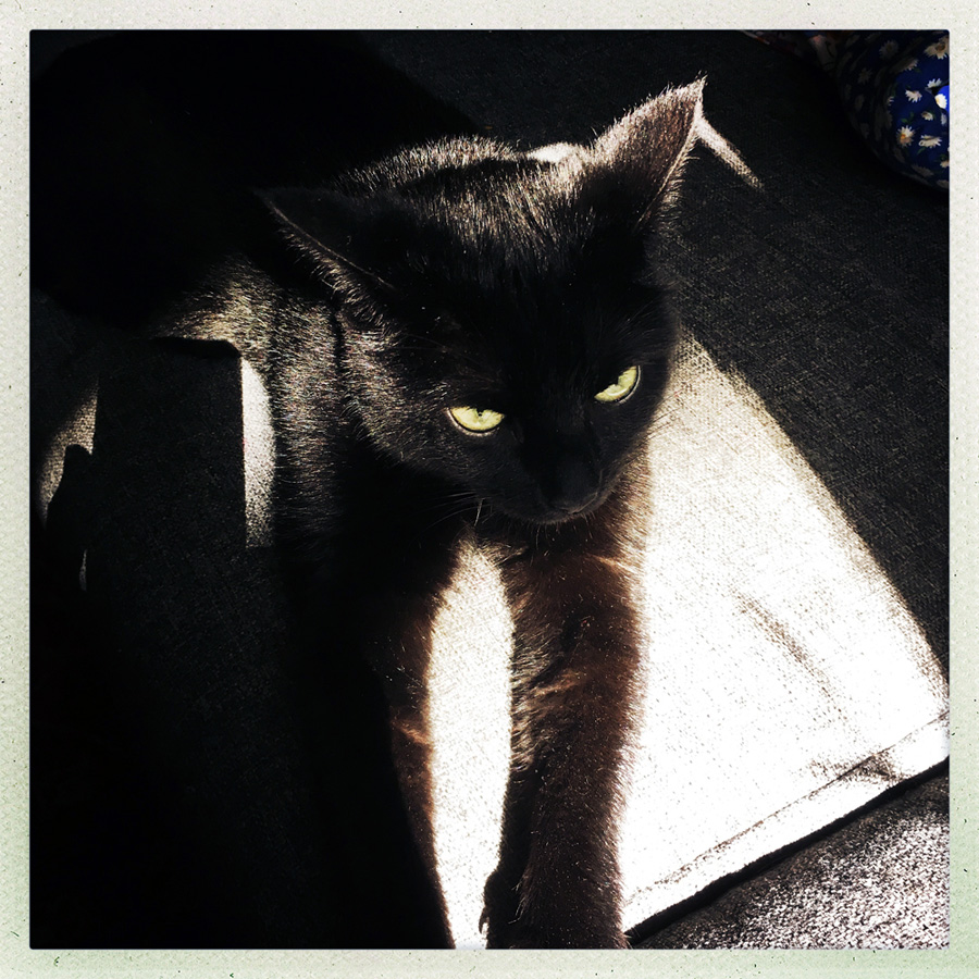  Hipstamatic 24