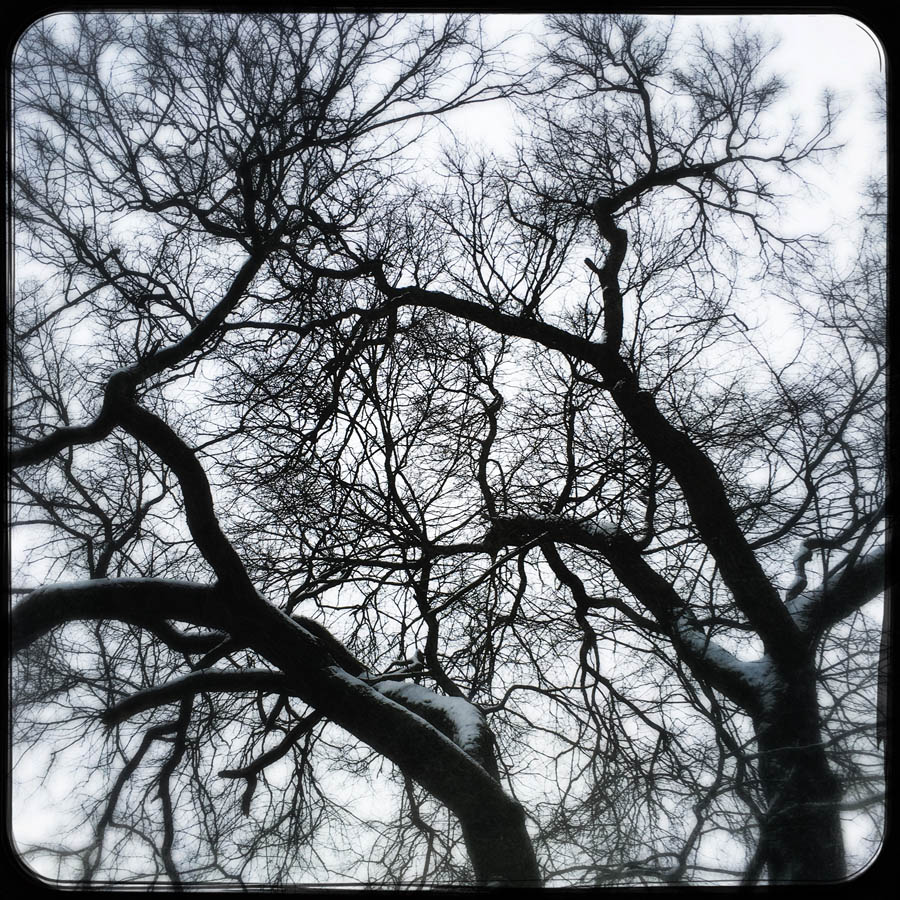 Hipstamatic 29