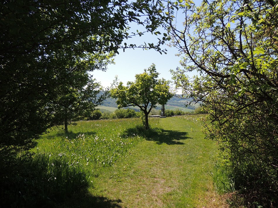 2- 