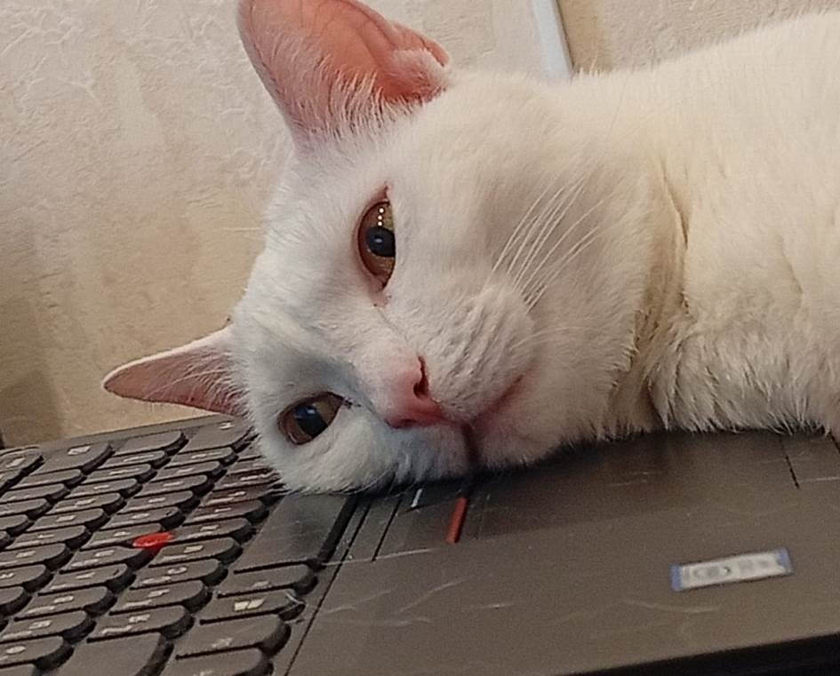  :-)