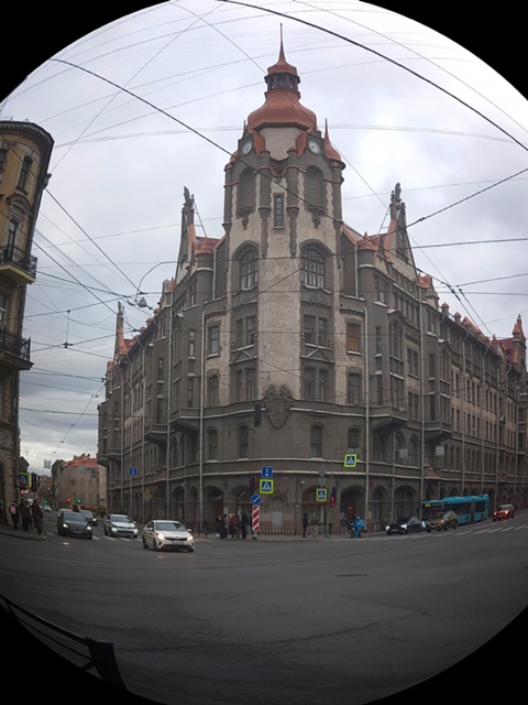 2446 Fisheye-