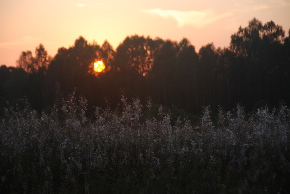 ���������� ��...