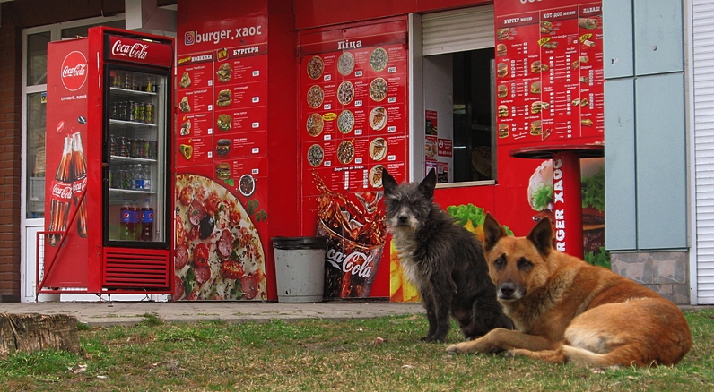 ���������� .