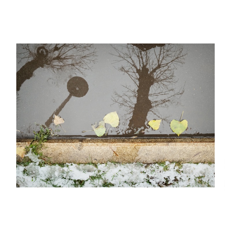 ���������� ���