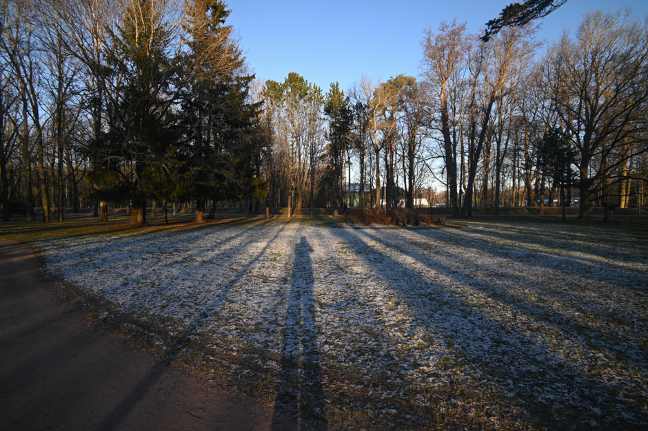 ���������� �������� ����