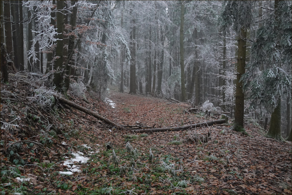 ���������� �� ����� ������ ���