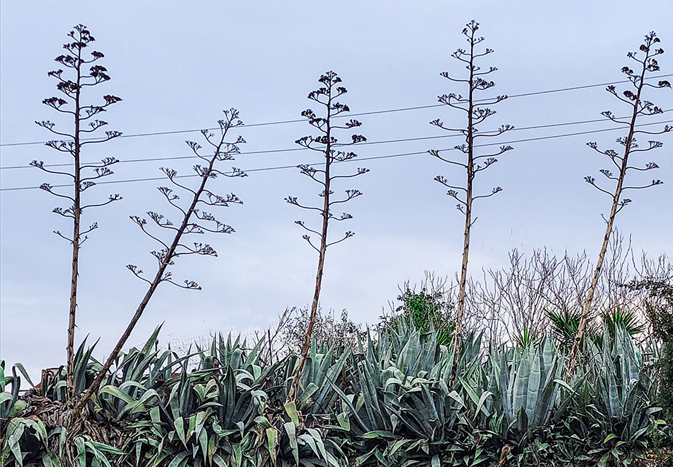 ���������� � ��� �� ������ �������