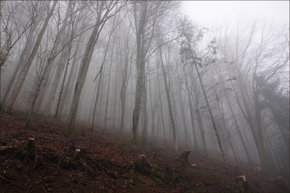 ���������� �ݣ ������� ������