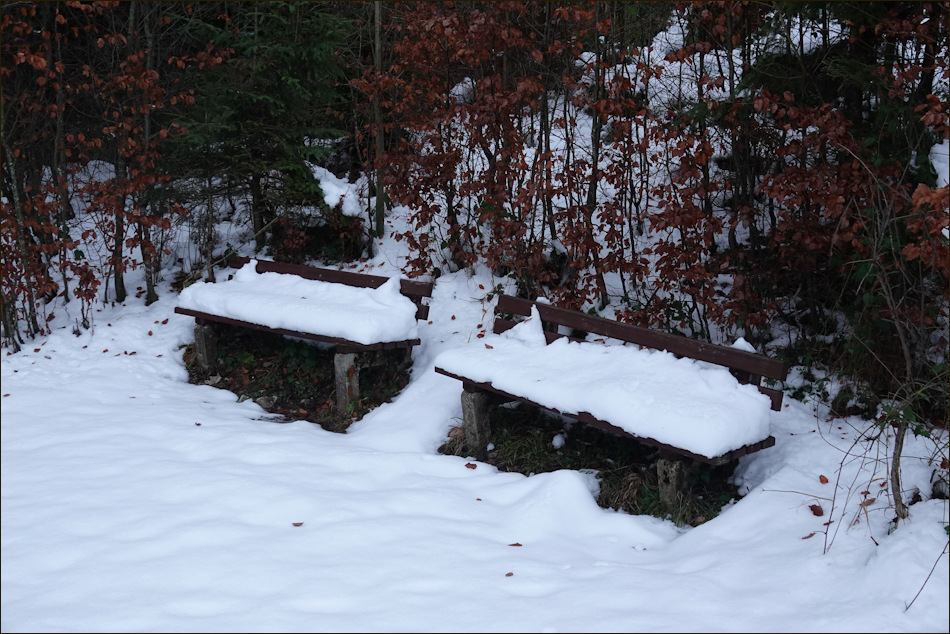 ���������� ����0544