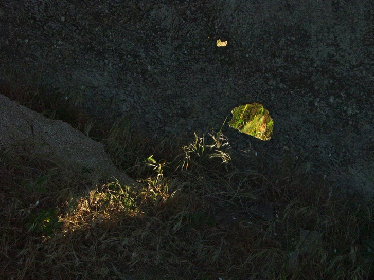 ���������� .