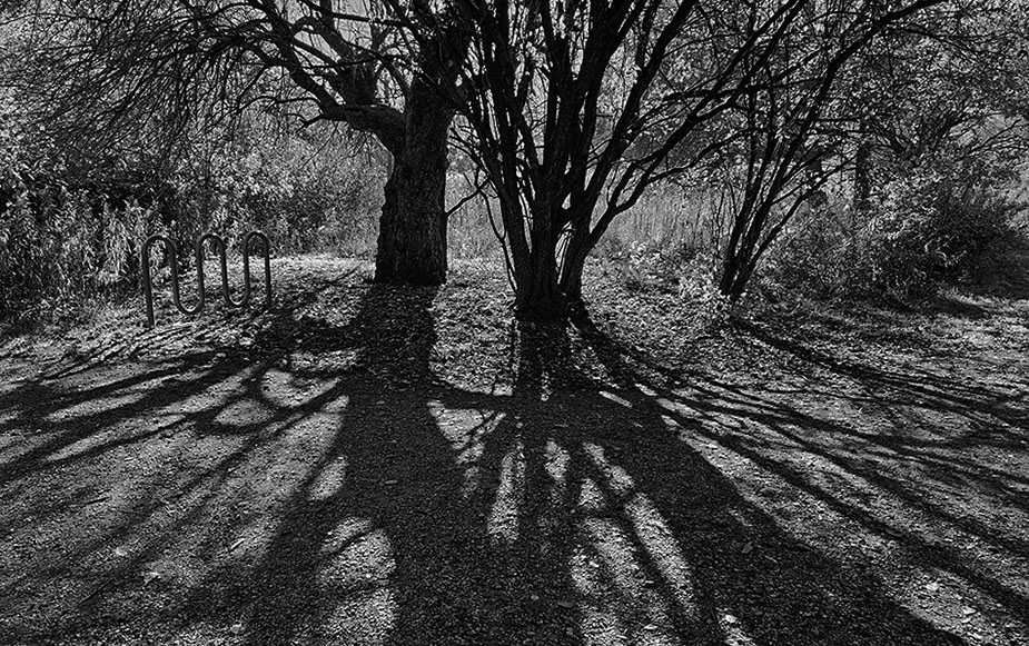 ���������� ���� � ����