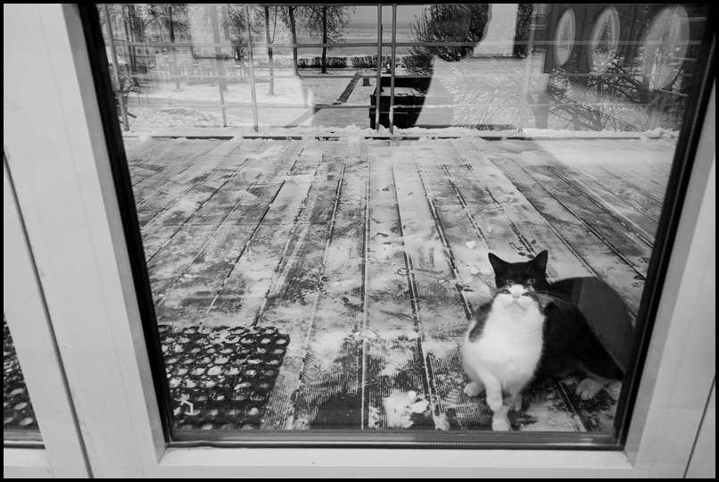 ���������� �������.