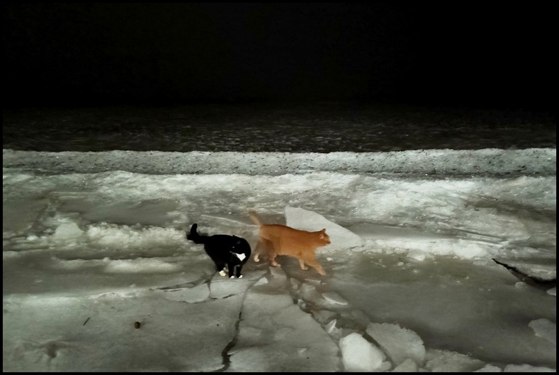 ���������� �������� ������� ����.