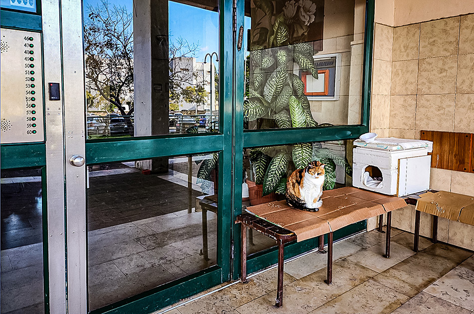 ���������� ����������