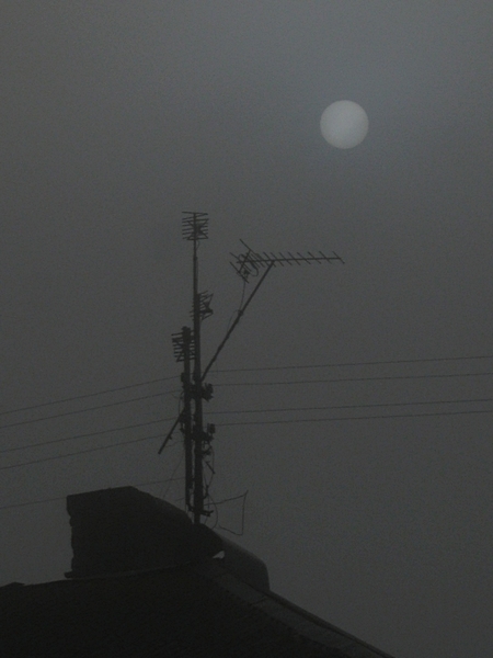 ���������� .