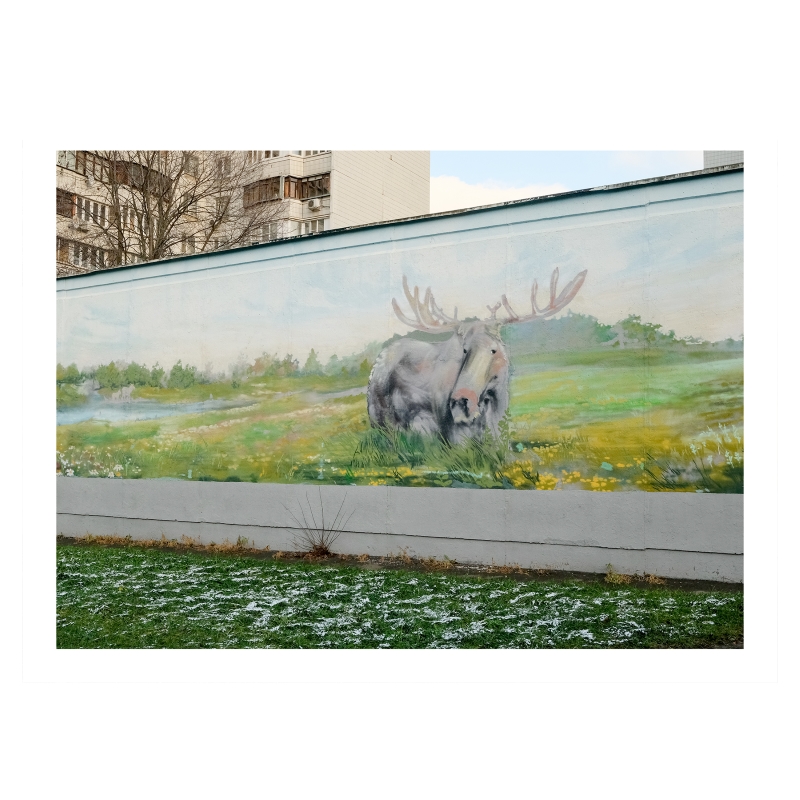 ���������� ��������� ����