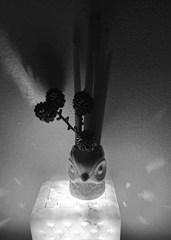 ���������� ����� ����