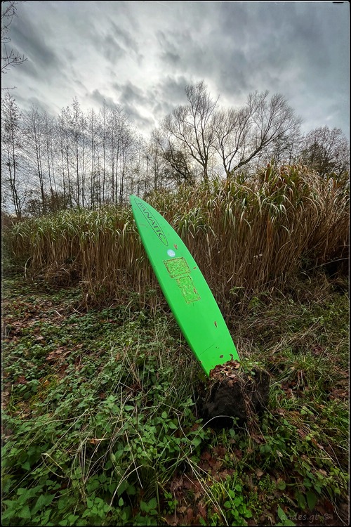 ���������� Fanatic