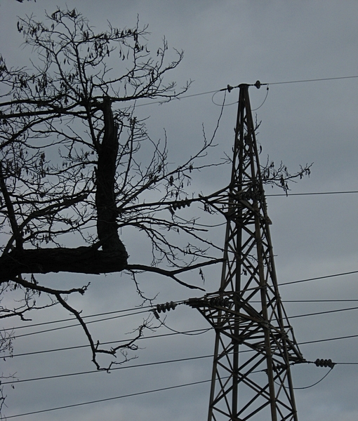 ���������� .