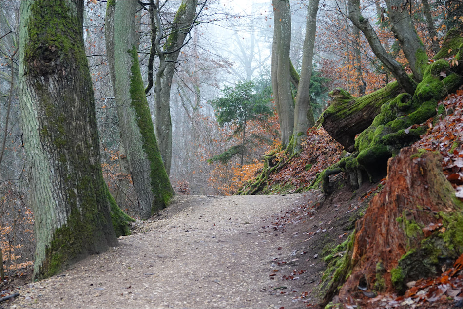 ���������� ���, ����� � ������