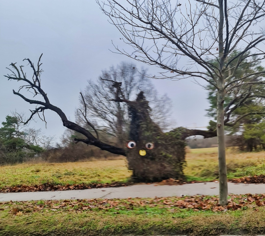 ���������� �-�-�!