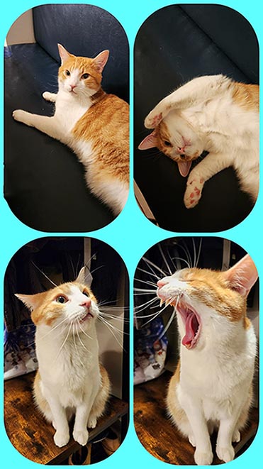 ���������� �� ���� ���������