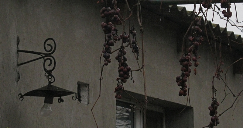 ���������� .