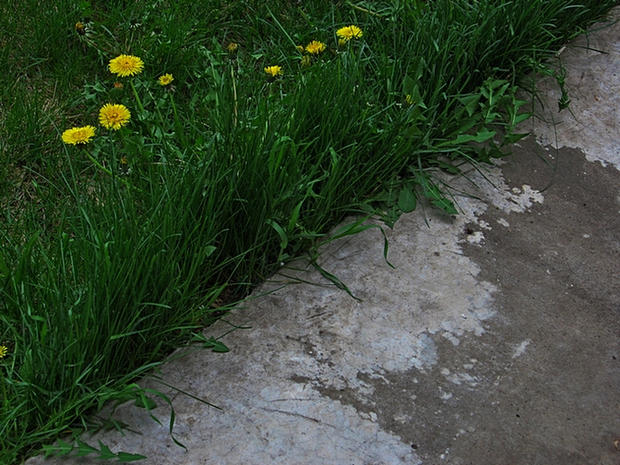 ���������� .