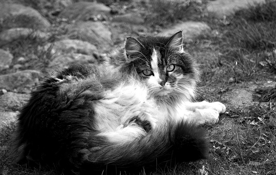 ���������� �02926�0