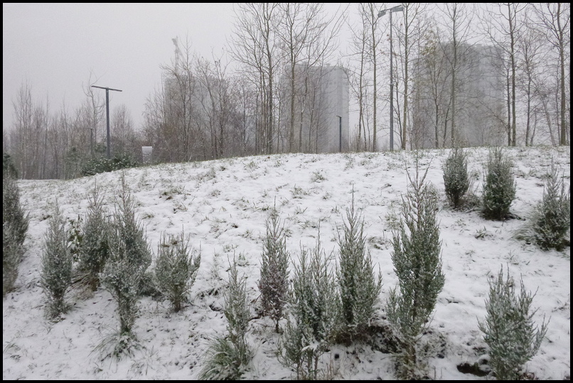 ���������� ������������.